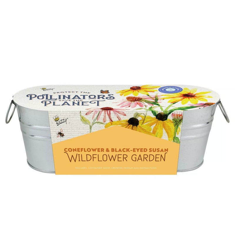 Buzzy Seeds Pollinator Windowsill Planter | Coneflower & Black-Eyed Susan