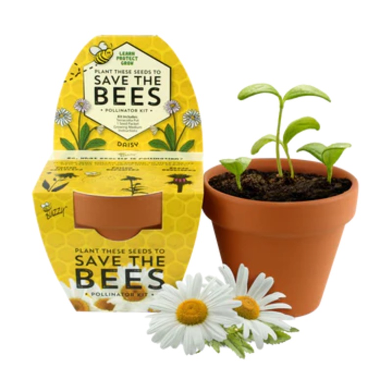 Buzzy Seeds Terra Cotta Grow Kit