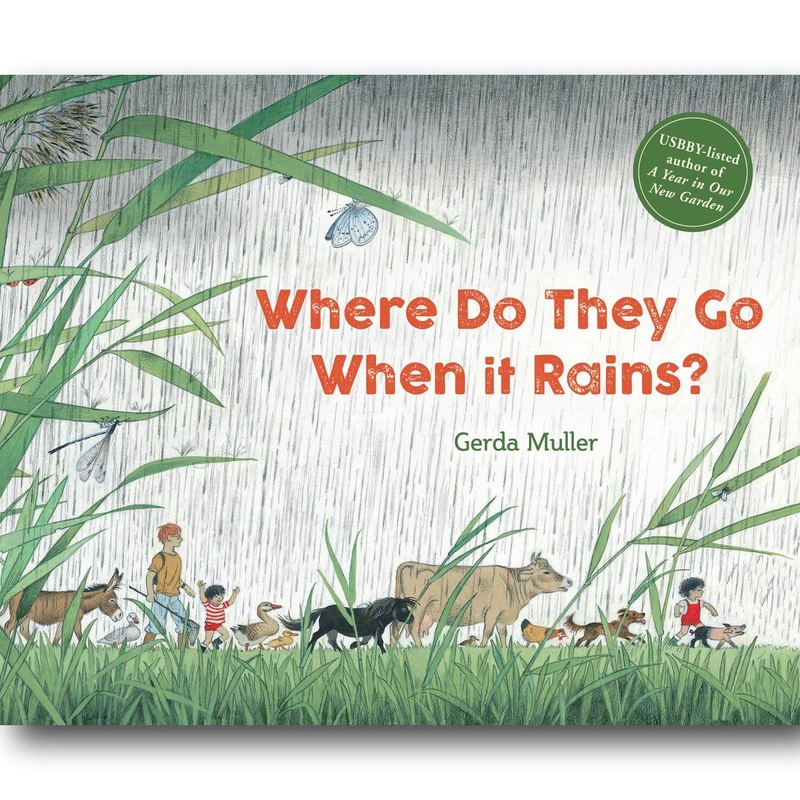 Where Do They Go When It Rains?