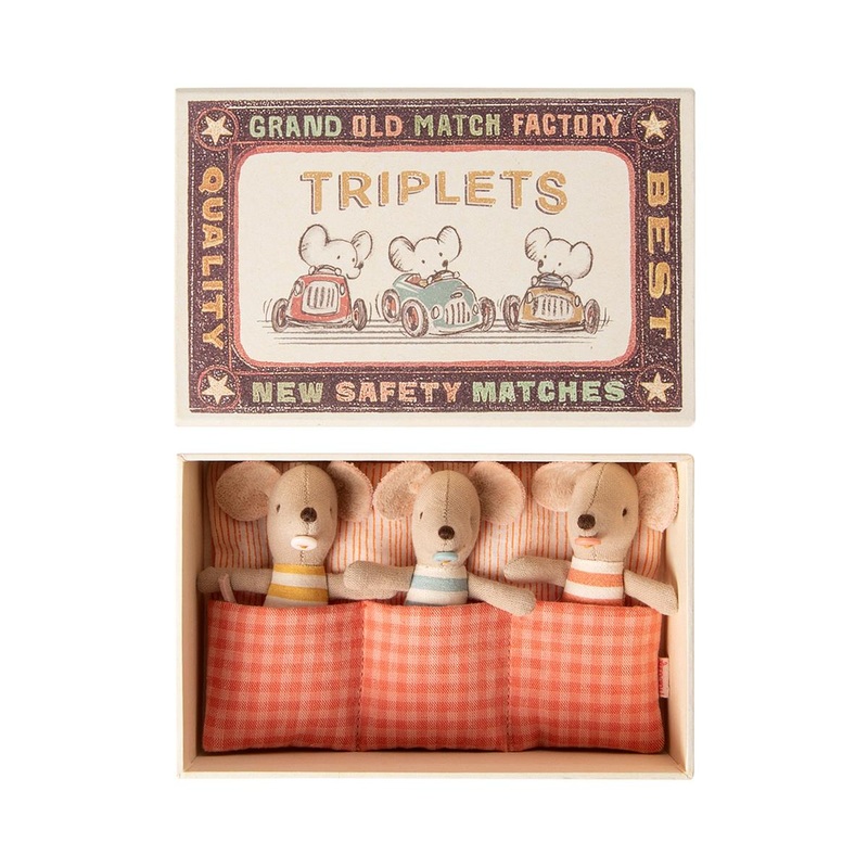 Triplets Baby Mice in Matchbox