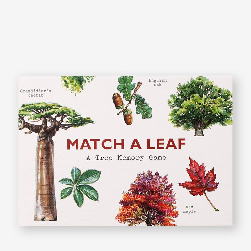 Match a Leaf: A Tree Memory Game