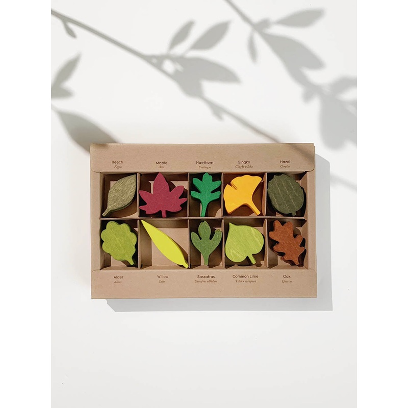 Moon Picnic Woodland Leaves Set