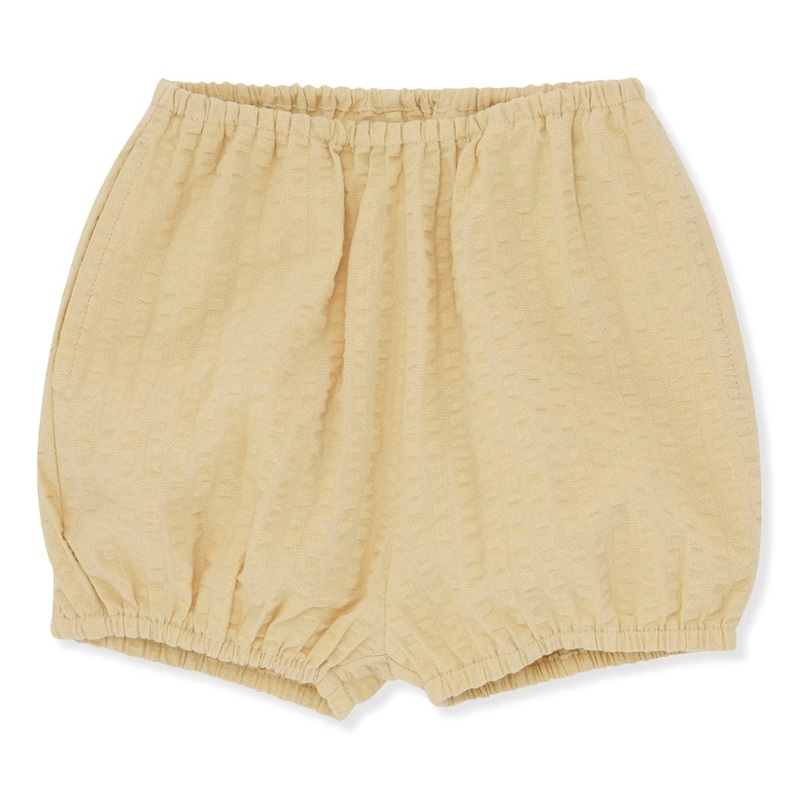 Ace Bloomer | Reed Yellow