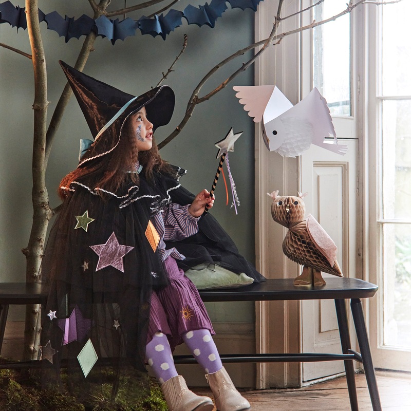 Tulle Appliqu Witch Cape, Hat & Wand