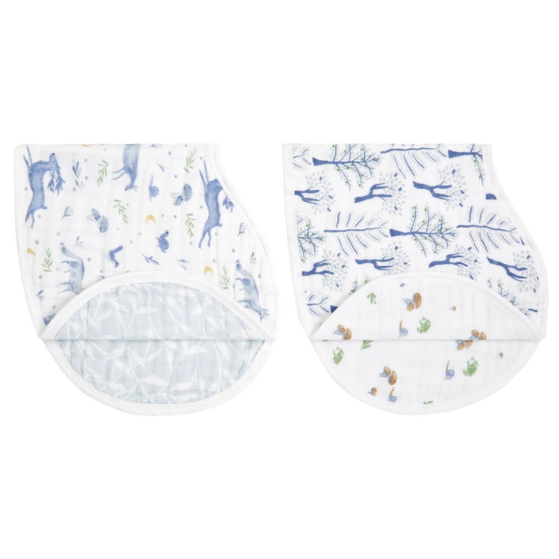 Aden + Anais Burpy Bibs 2 Pack – Outdoors