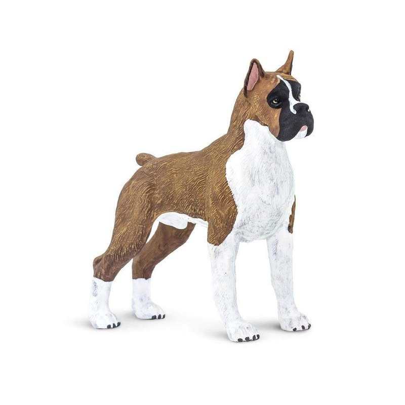 Boxer by Safari Ltd