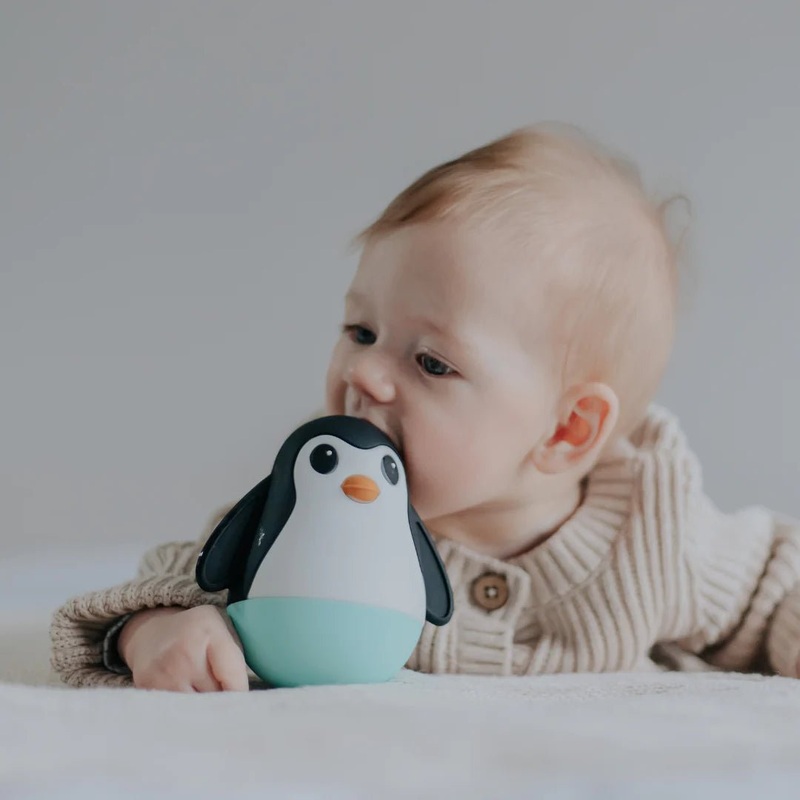 Jellystone Penguin Wobble Toy – Mint / Black / Bubblegum / Blue