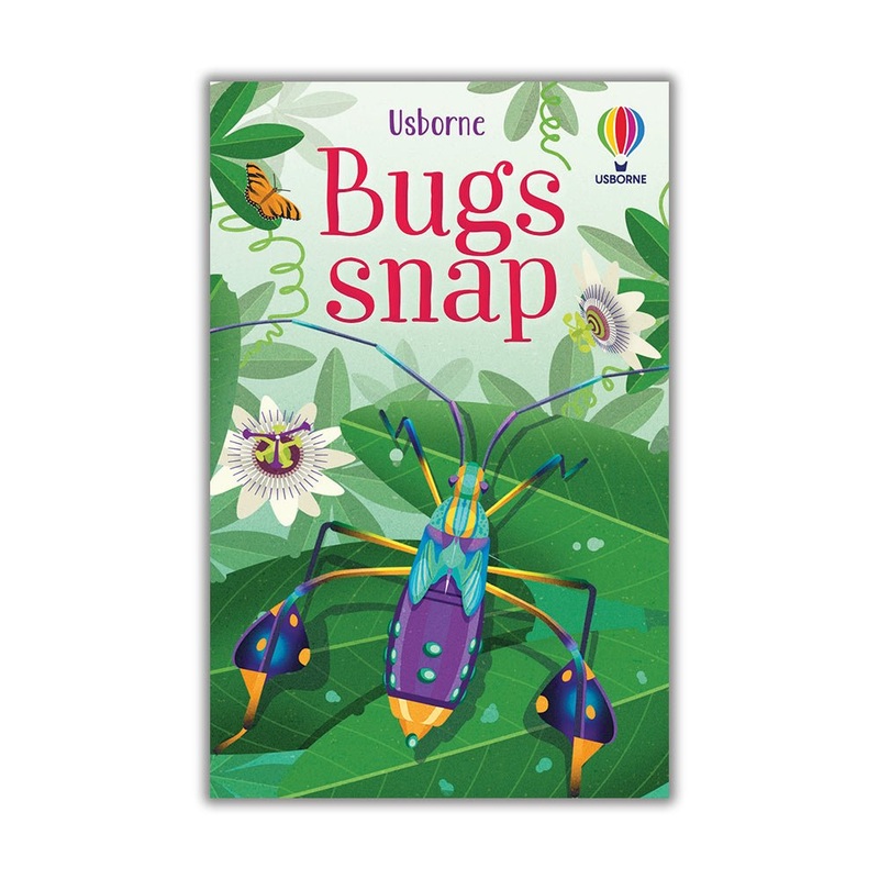 Usborne – Bugs Snap Cards
