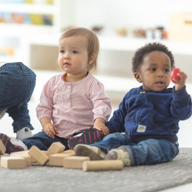 RIE: Discover Your Toddler (Walking to 24+ months) – In-Person