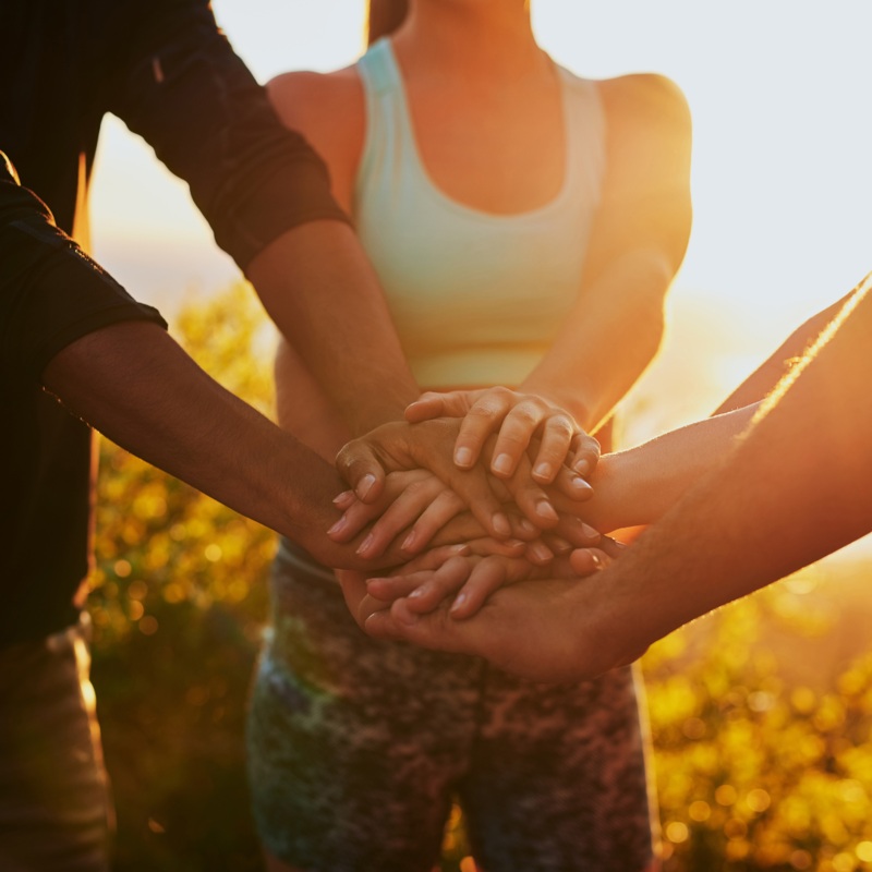 Wisdom + Wellness Gathering: In Person