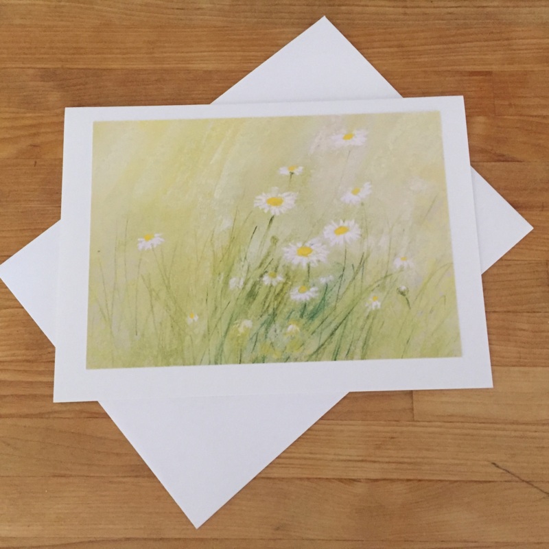 Greeting Cards/ Summer – DAISIES