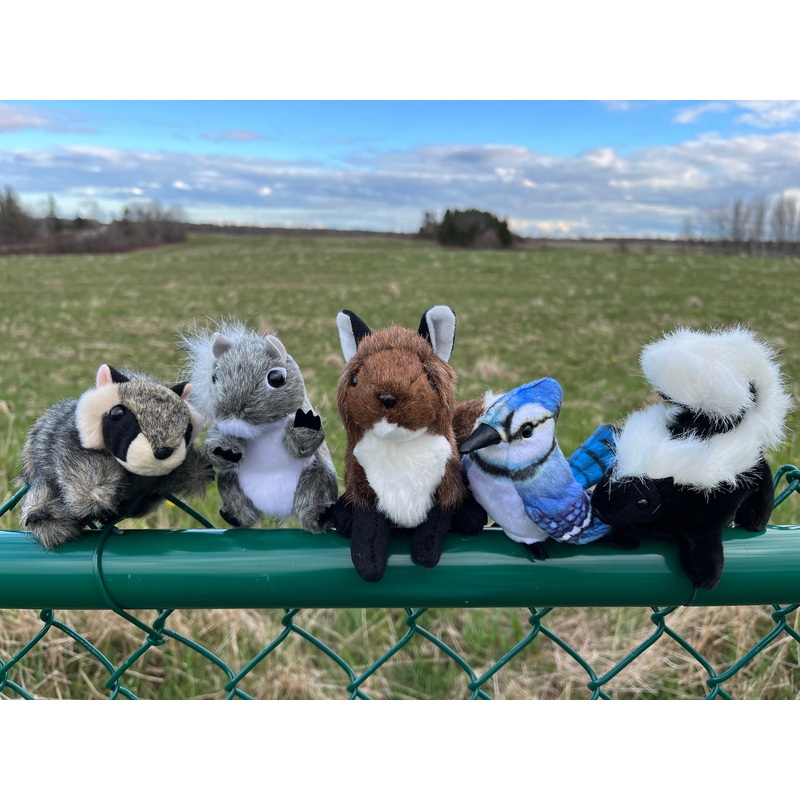 Soft Mini Puppet Set – WILD ANIMALS in TORONTO