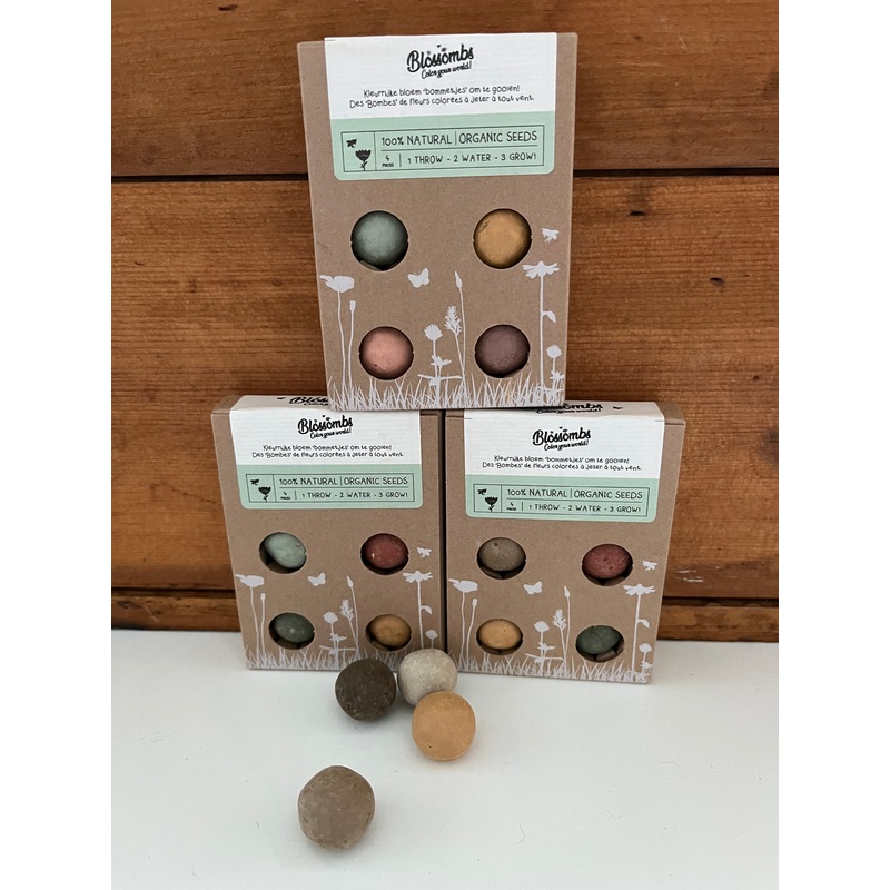 Gardening Fun – SEED PODS!