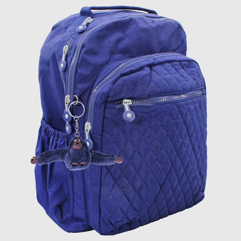 Blue 18 Inches Backpack