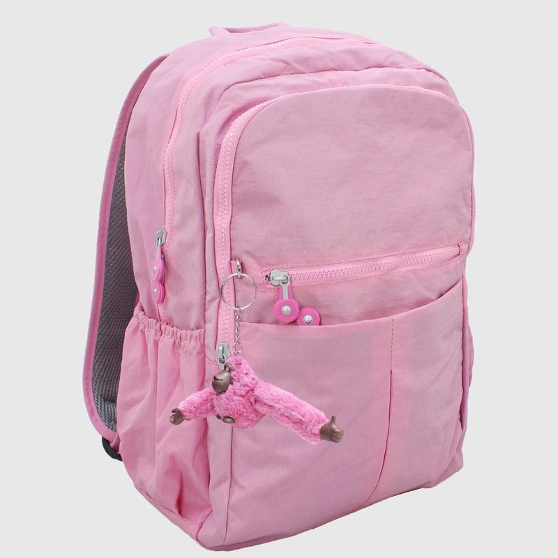Pink 18 Inches Backpack