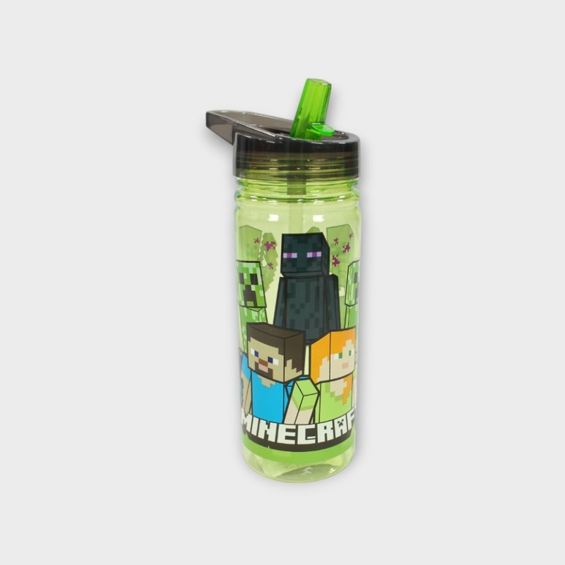 Minecraft 580 ML Large Ecozen Bottle