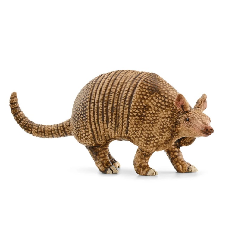 Armadillo