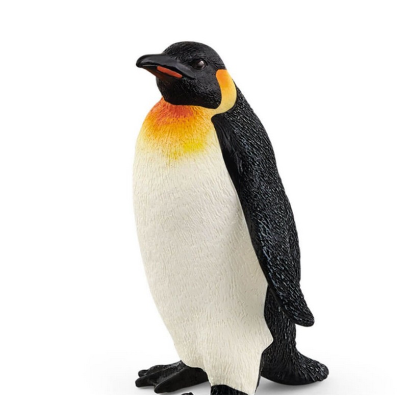 Emperor Penguin