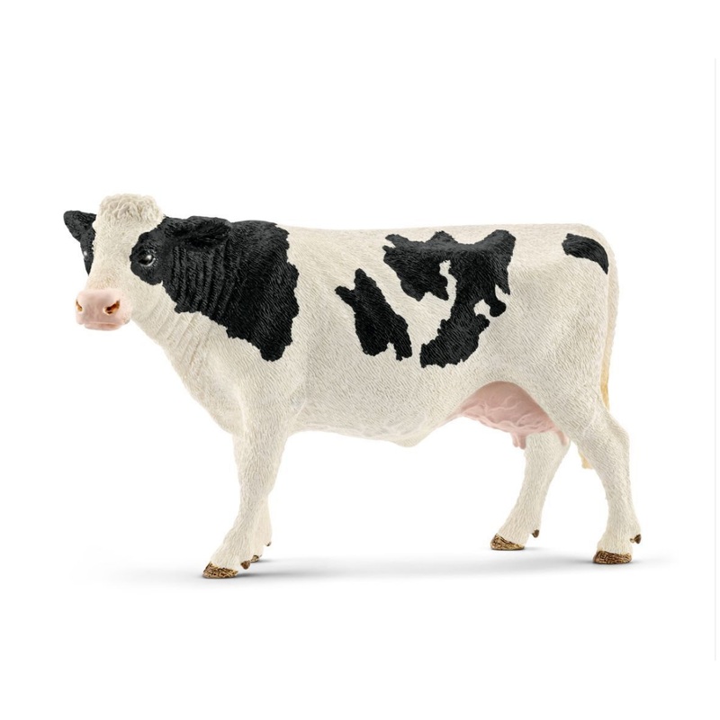 Holstein Cow