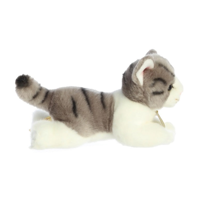 Miyoni Grey Tabby Kitten