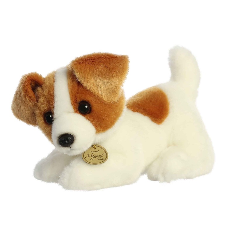 Miyoni Jack Russell Pup