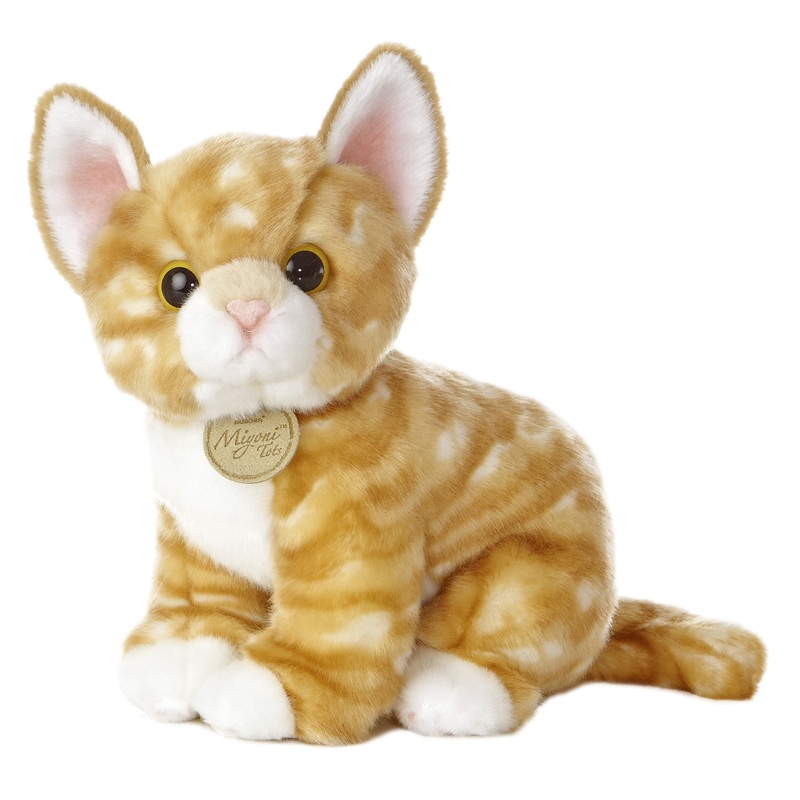 Miyoni Orange Tabby Kitten