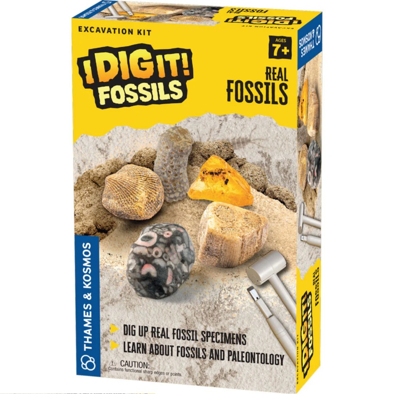 I Dig It! Fossils – Real Fossils Excavation Kit
