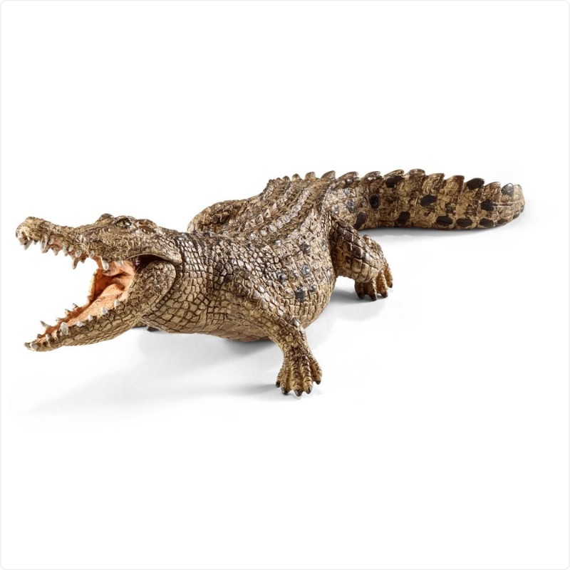 Crocodile with Moving Jaw