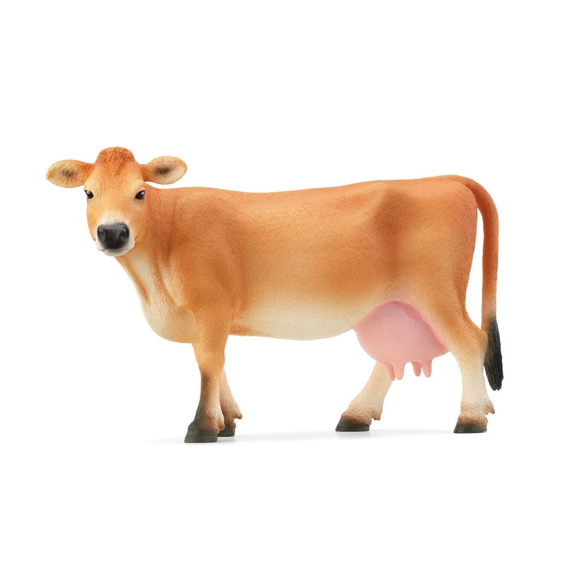 Jersey Cow
