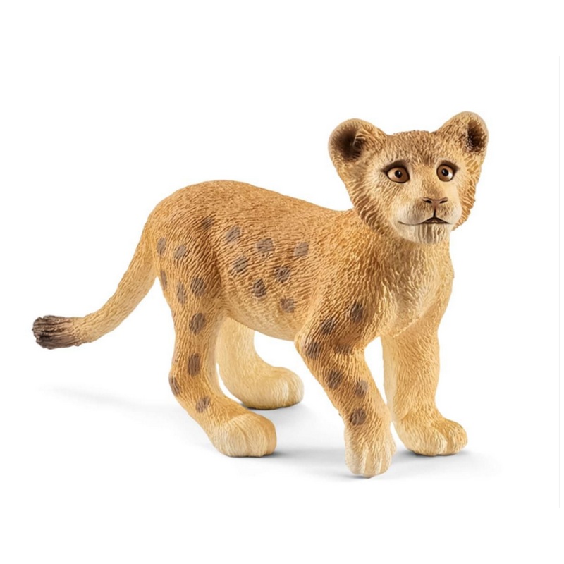 Lion Cub