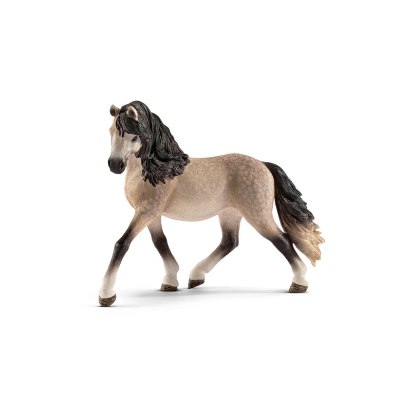 Andalusian Mare