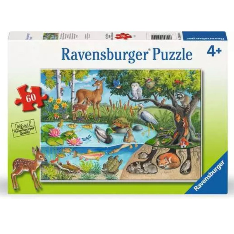 Animals Above and Below 60 Pc Puzzle