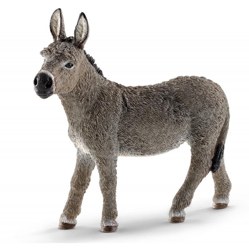Donkey