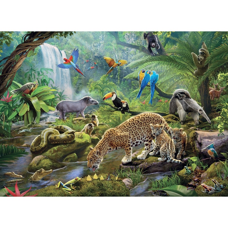 Rainforest Animals  60 Pc Puzzle