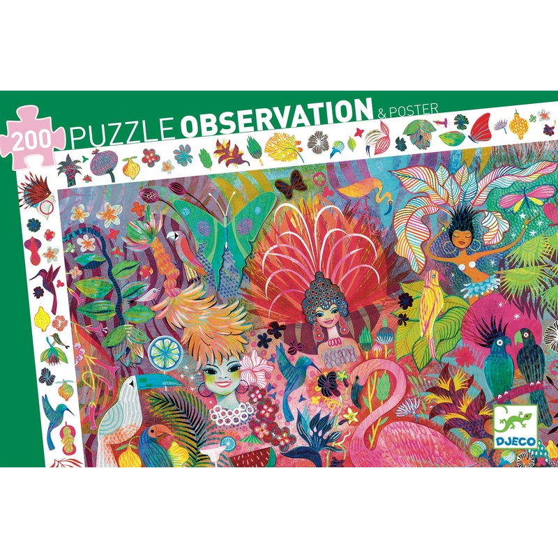 Observation Rio Carnival