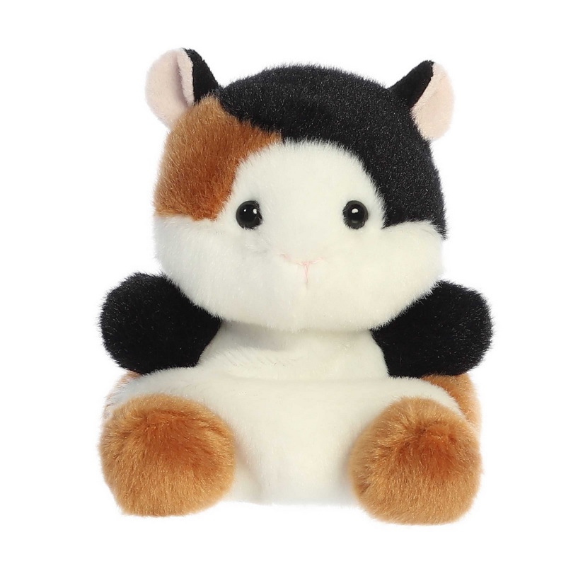 5 Nutmeg Guinea Pig