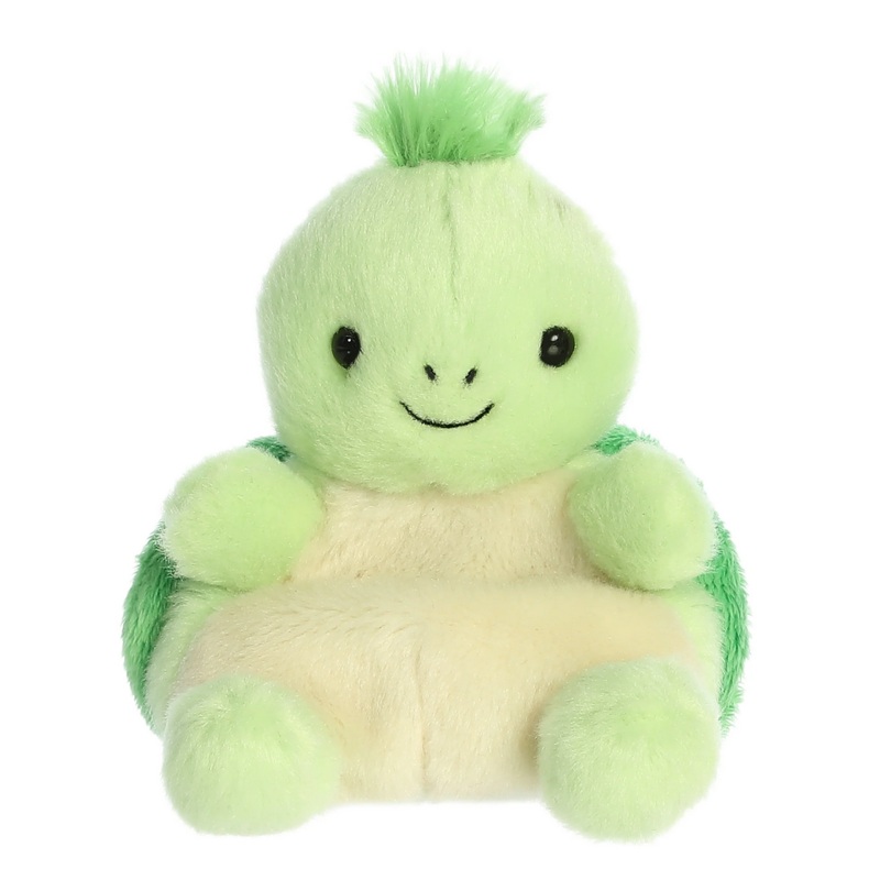 5 Tiny Turtle