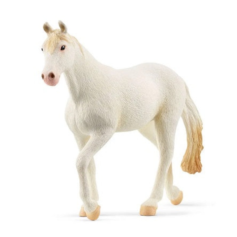 Camarillo Mare