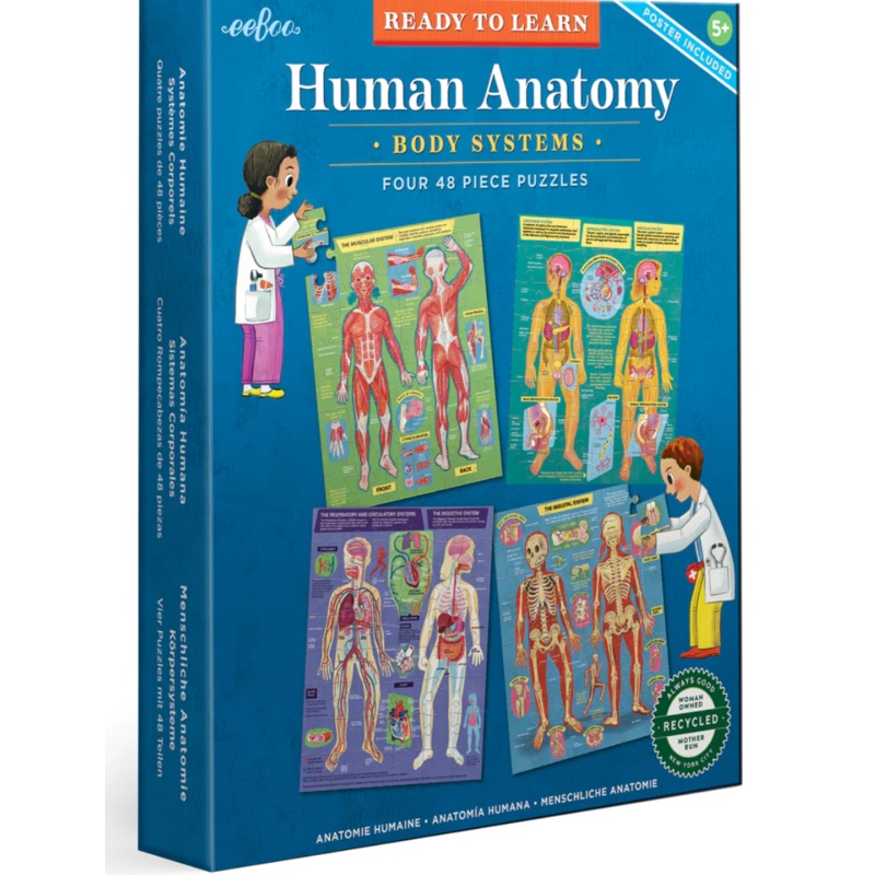 Human Anatomy – Four 48 Pc Puzzles