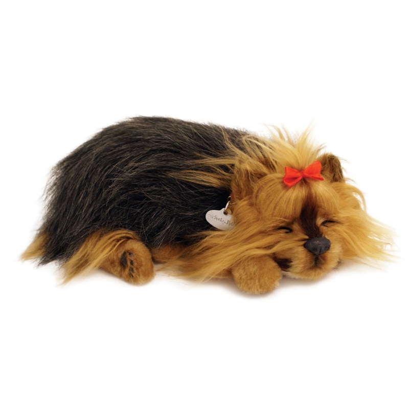 Perfect Petzzz Yorkie