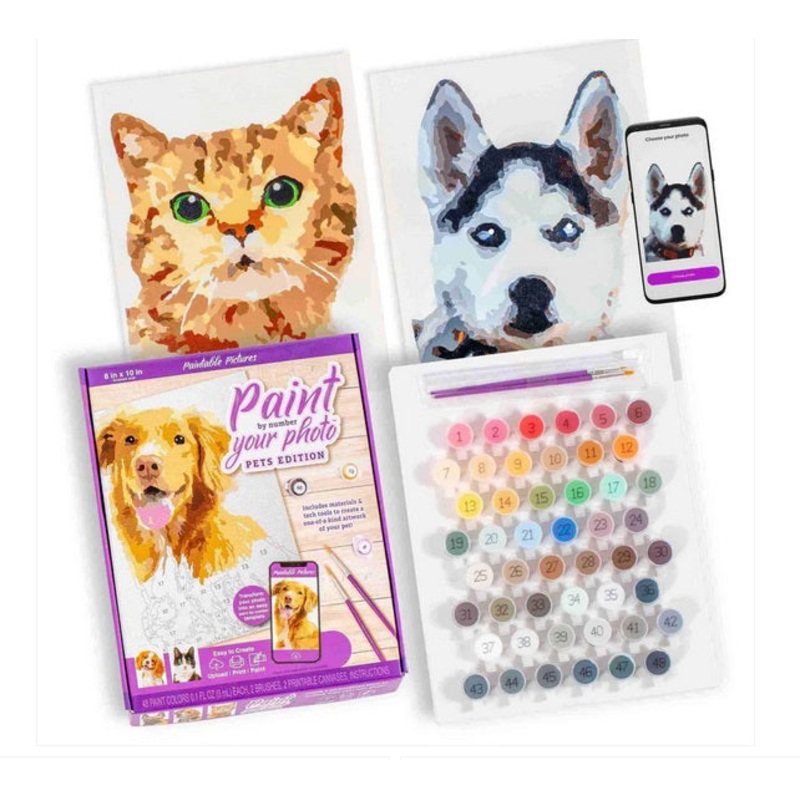 Paint by Number Your Photo – Pets Edition