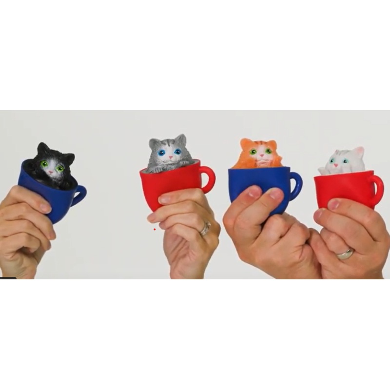 Pop A Chino Kitties